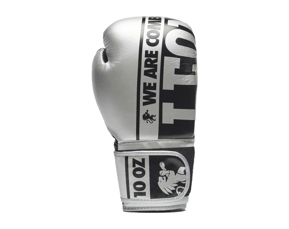 Leone Boxing Gloves Nexplosion Silver