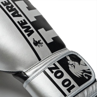 Leone Γάντια Πυγμαχίας Nexplosion Silver